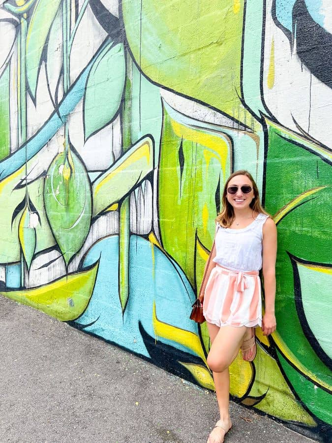 15 Most Instagrammable Nashville Murals: Best Self-Guided and Guided Tours!
