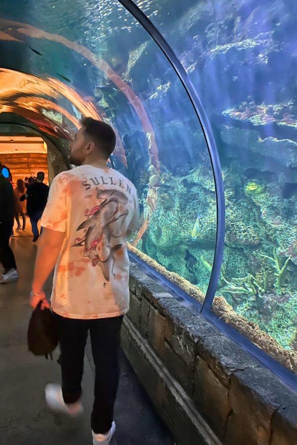 Shark Reef Aquarium Mandalay Bar